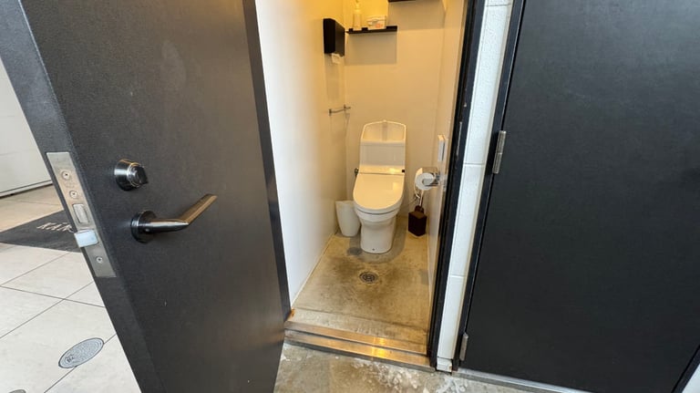 Open black door reveals a small public restroom with a modern toilet, shelves, and a slight step at the entrance.