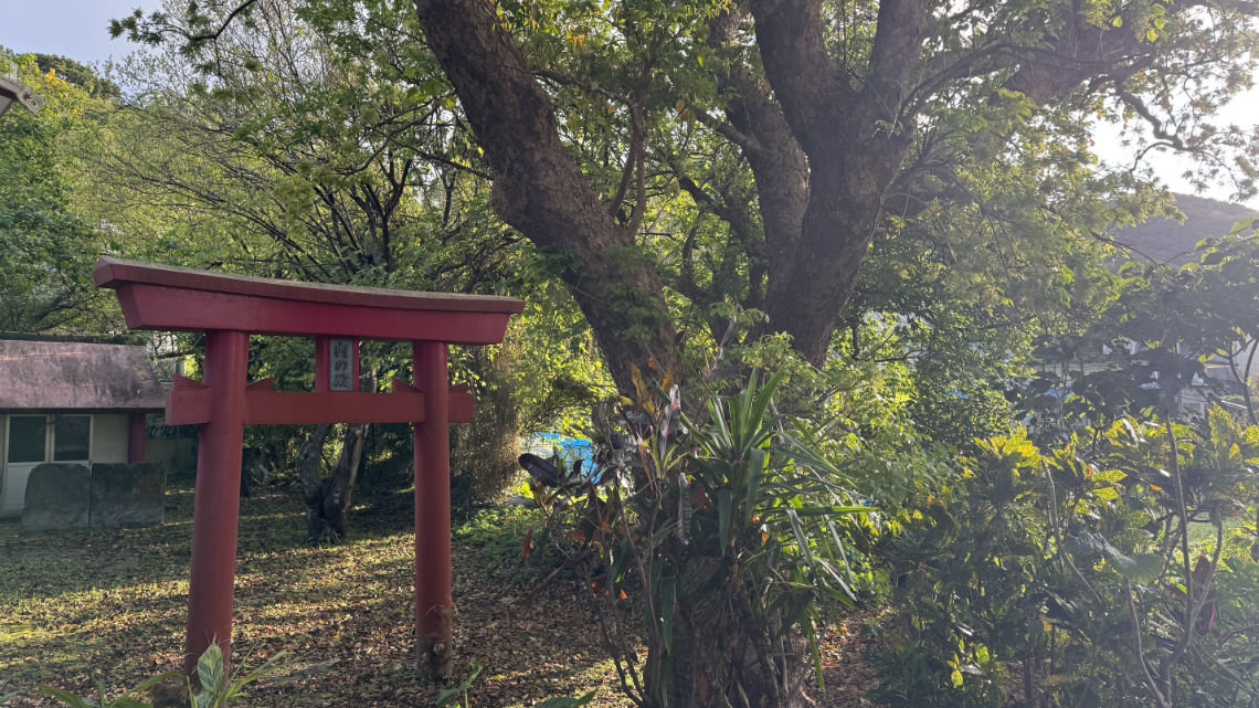 Red torii gate standing in a lush, wooded area with sunlight filtering through the trees.
