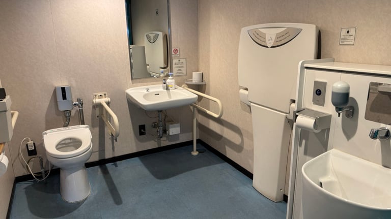 20250308 003505263 iOS 768x432