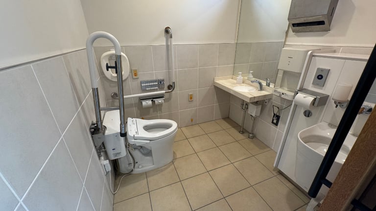 20250308 040111576 iOS 768x432