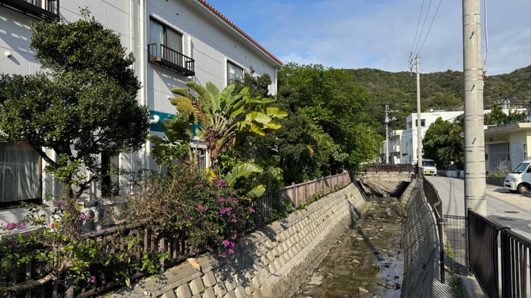 20250309 001231669 iOS 768x432