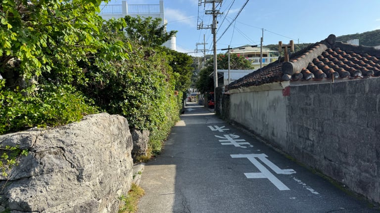 20250309 001527372 iOS 768x432