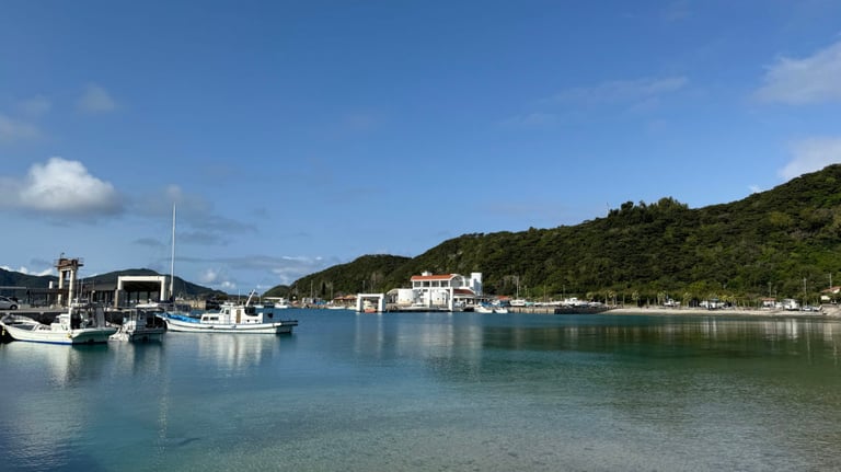 20250309 001840929 iOS 768x432