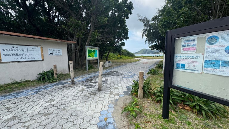 20250309 011605979 iOS 768x432