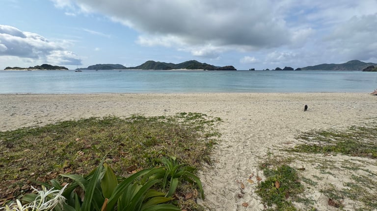 20250309 011858624 iOS 768x432