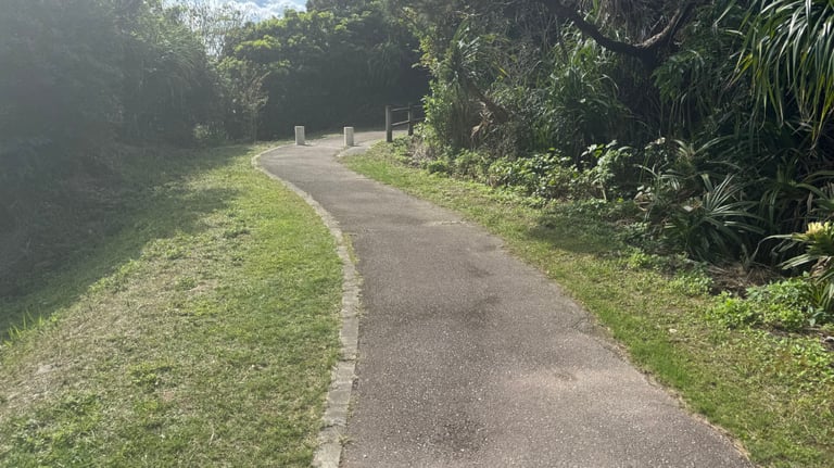 20250309 013449434 iOS 768x432