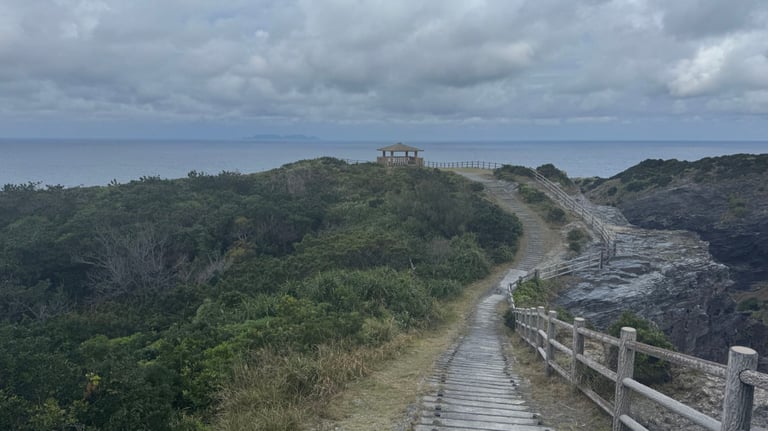 20250309 015558202 iOS 768x432