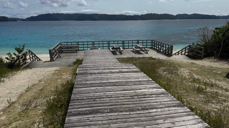 20250309 022553724 iOS 768x432