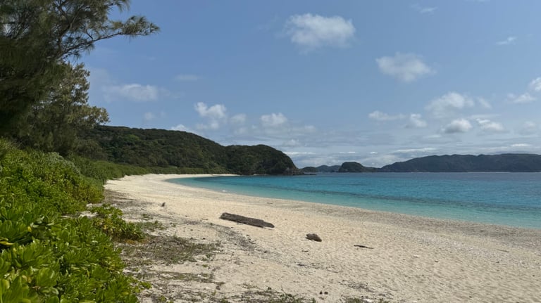 20250309 023708728 iOS 768x432