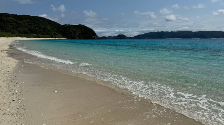 20250309 023819378 iOS 768x432