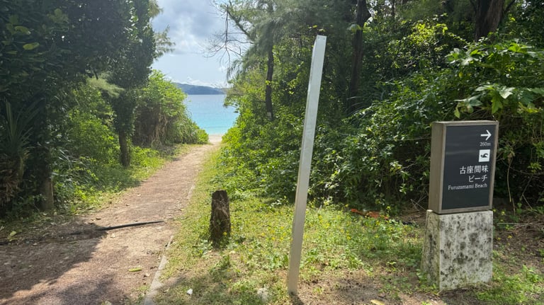 20250309 024112899 iOS 768x432