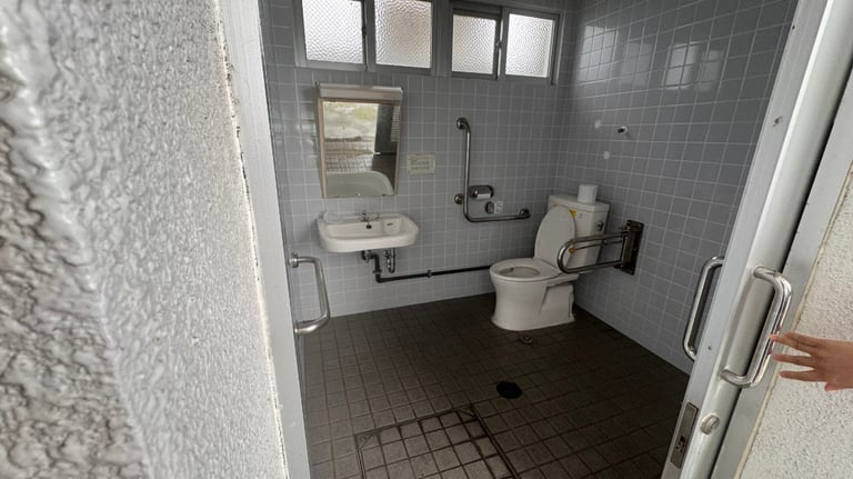 20250309 030823374 iOS 768x432