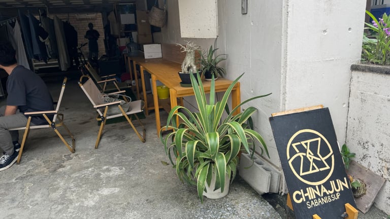 20250309 033101634 iOS 768x432