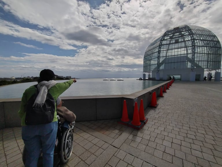 241020114441577 768x576