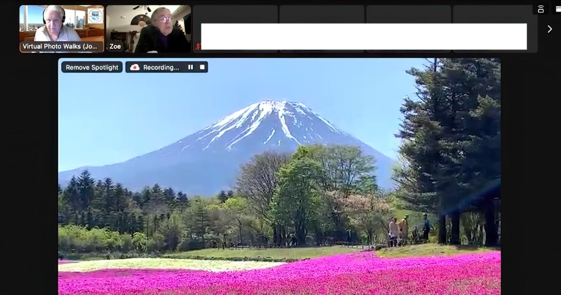 A livestream screenshot from Virtual Photo Walks shows Mount Fuji with snow at its peak, framed by green trees and a vibrant field of bright pink flowers in the foreground. Several people are visible walking near the trees under a clear blue sky.