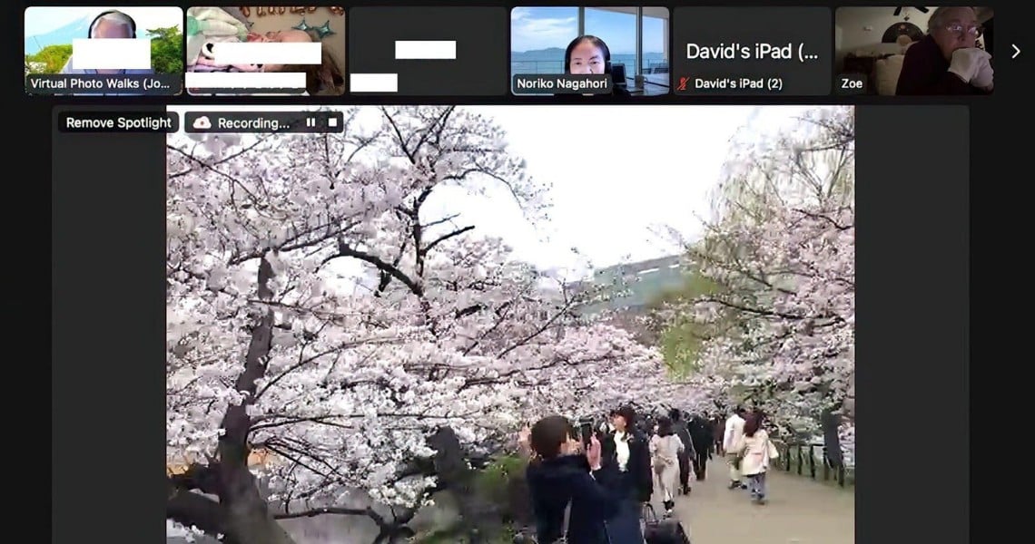 A livestream screenshot from Virtual Photo Walks shows a walkway lined with cherry blossom trees in full bloom. The path is crowded with people, some stopping to take photos of the pink and white blossoms, creating a lively spring atmosphere.