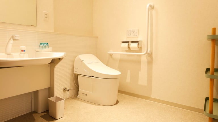 toilet 768x432