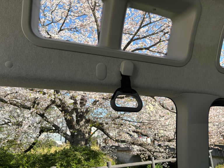 車窓 天窓 桜 768x576