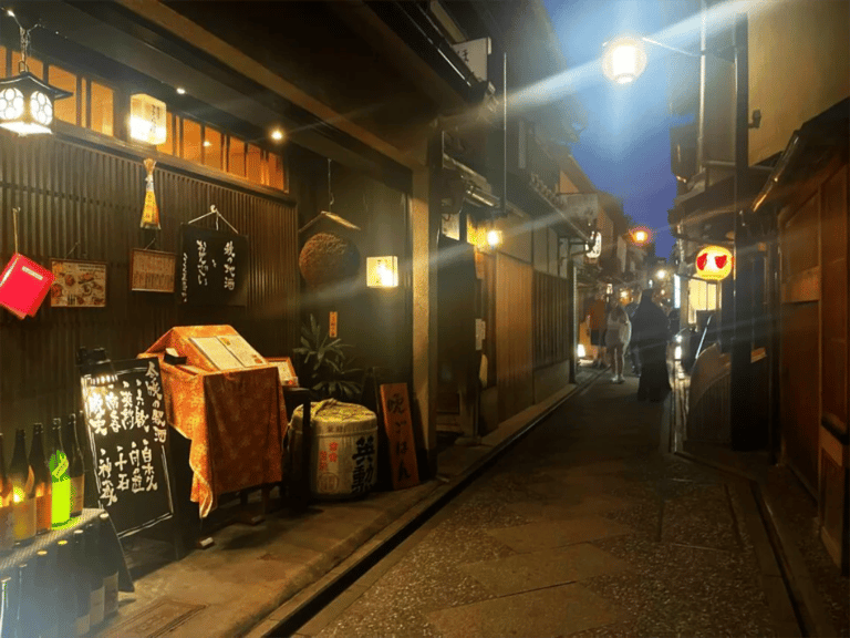 accessible kyoto pontocho tour alley at night with lanterns 768x576