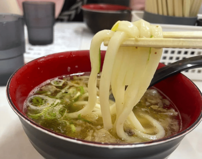 accessible osaka shinsekai daytime tour udon noodles in broth 768x606