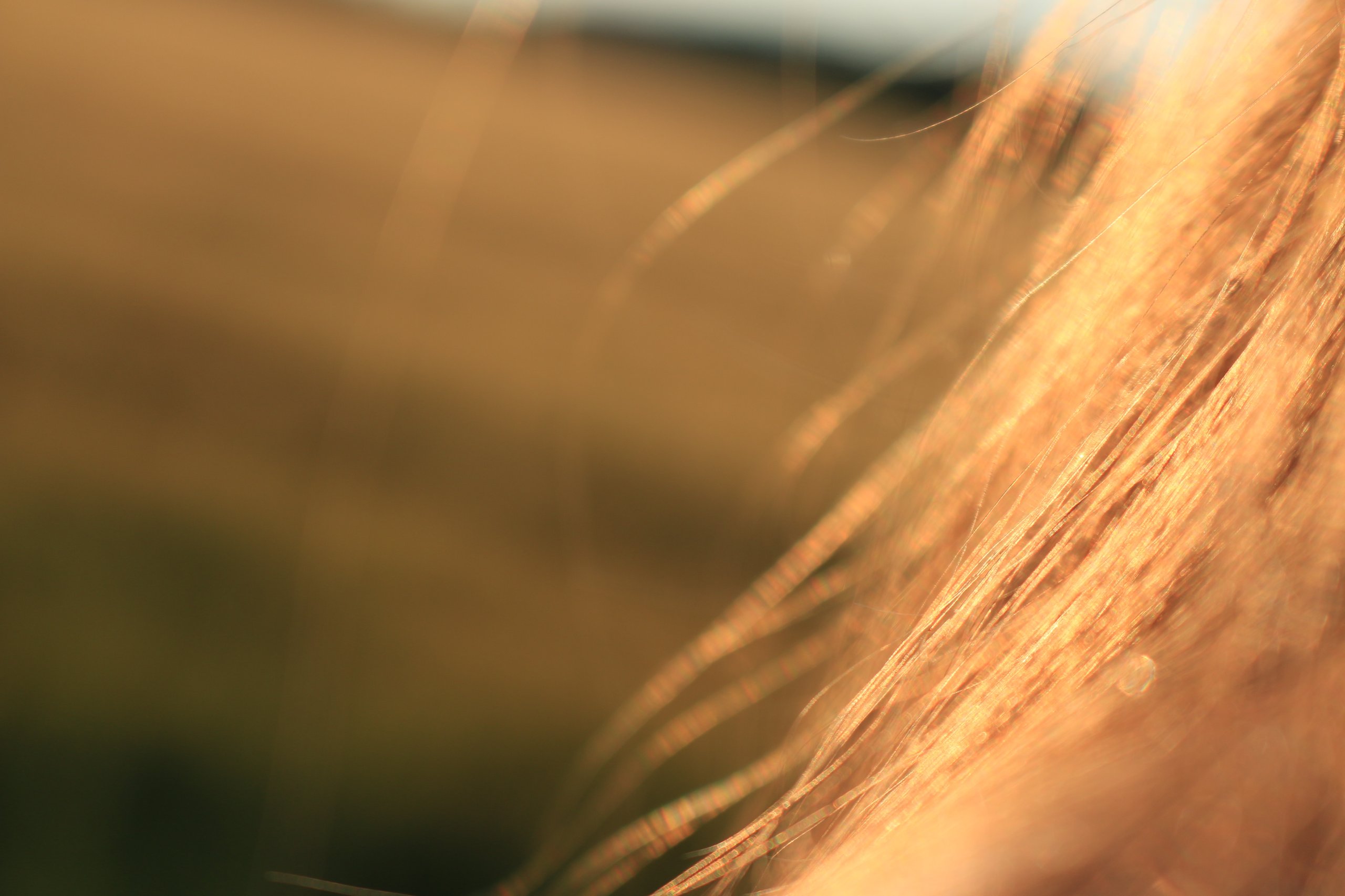 capelli biondi