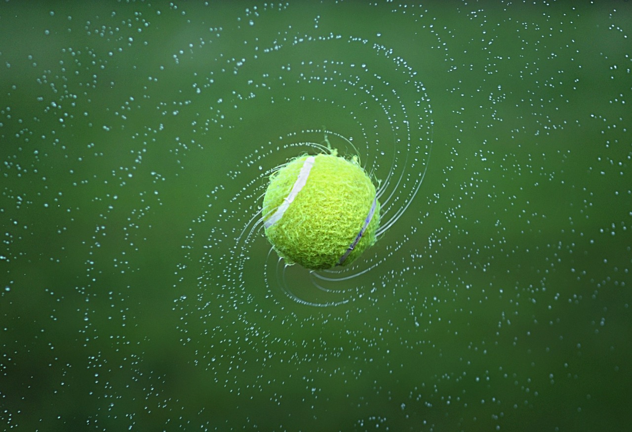 pallina tennis