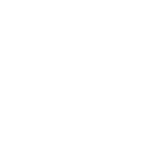 Il gene Ar