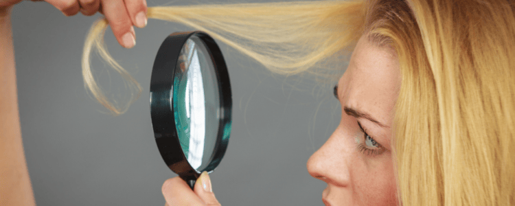 anteprima_webinar_apr26 Hair Detective: indagini sul cuoio capelluto, cause e rimedi