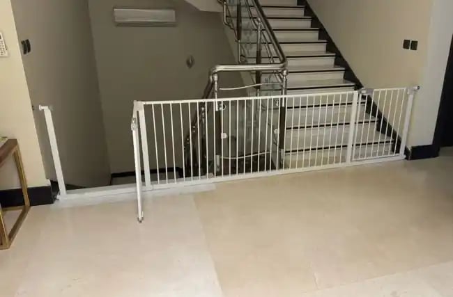 نموذج لخدمة التفصيل للمساحات الواسعة