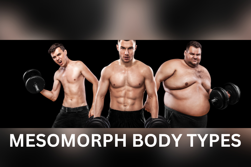 Mesomorph Body Type Workout & Diet Plan - Fitness Cravers