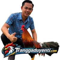 Trại gà Duyên Ti