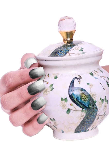 Secret Lives acrylic fake reusable false artifical press on nailsshades of green color 24 pieces with kit