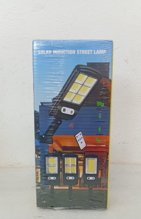 Solar Induction Street Lamp