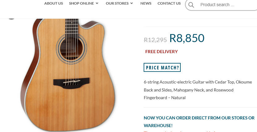 Takamine Acoustic Guitar