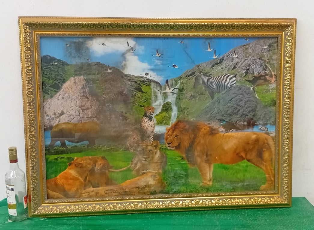 Framed Artwork