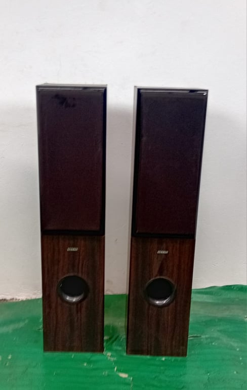 2 X Luxman Speakers