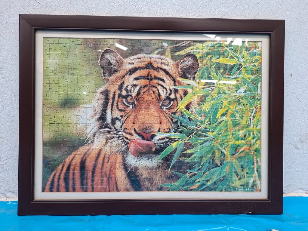 Tiger in the Grass Print