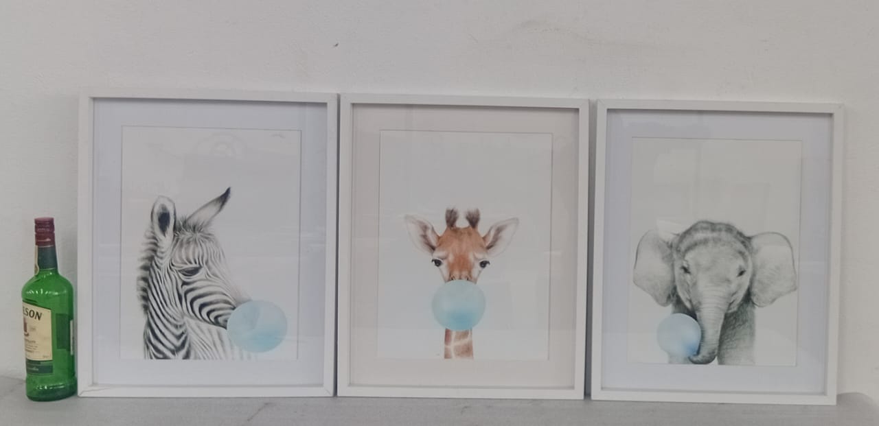Set of 3 Framed Animal Art Prints
