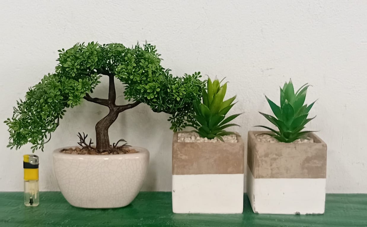 Decorative Artificial Bonsai Tree & 2 Succulent Plants in Pots (Set of 3)