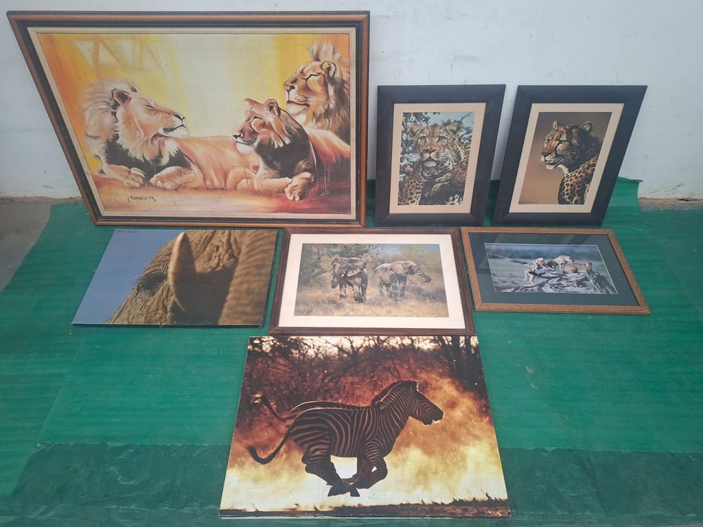 Framed Wildlife Prints & Paintings (7)
