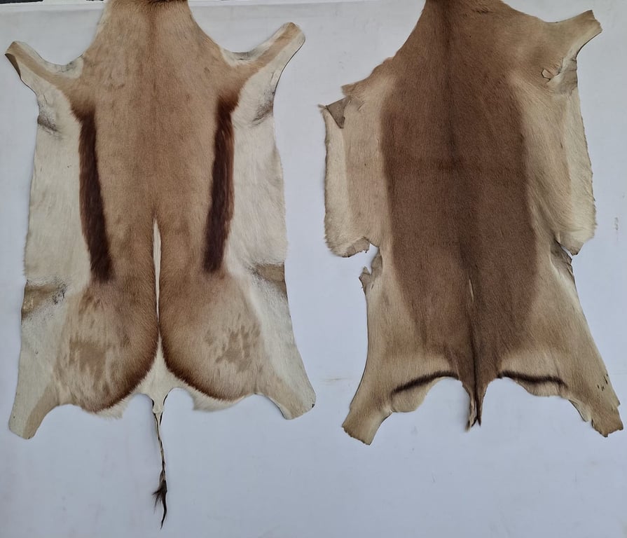 Natural Springbok Hide –