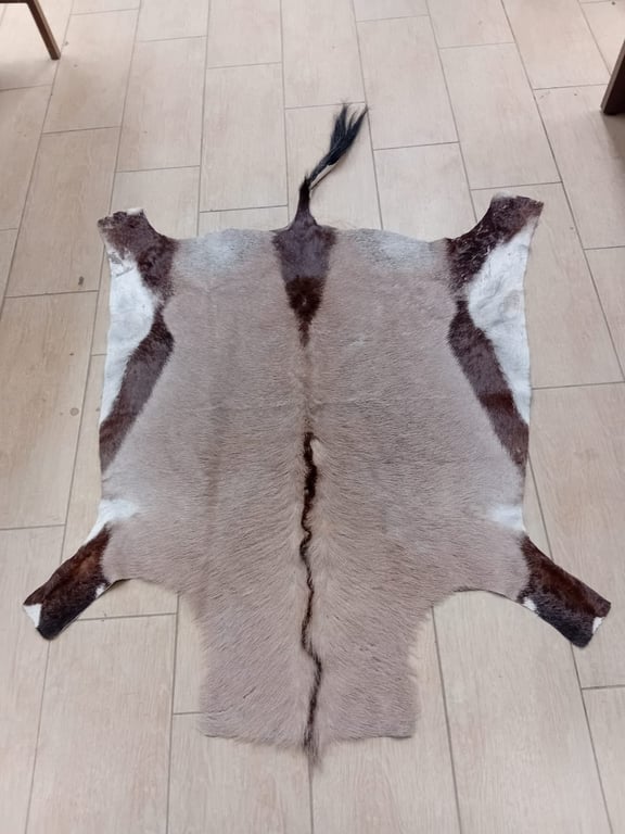 Gemsbok Hide