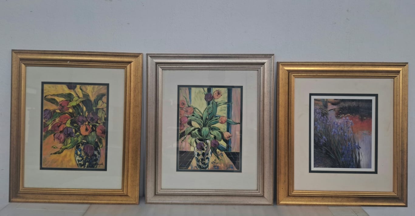 Framed Prints(3)