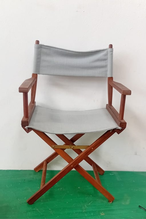 Director's Chair