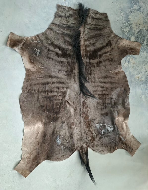 Tanned Wildebeest Hide