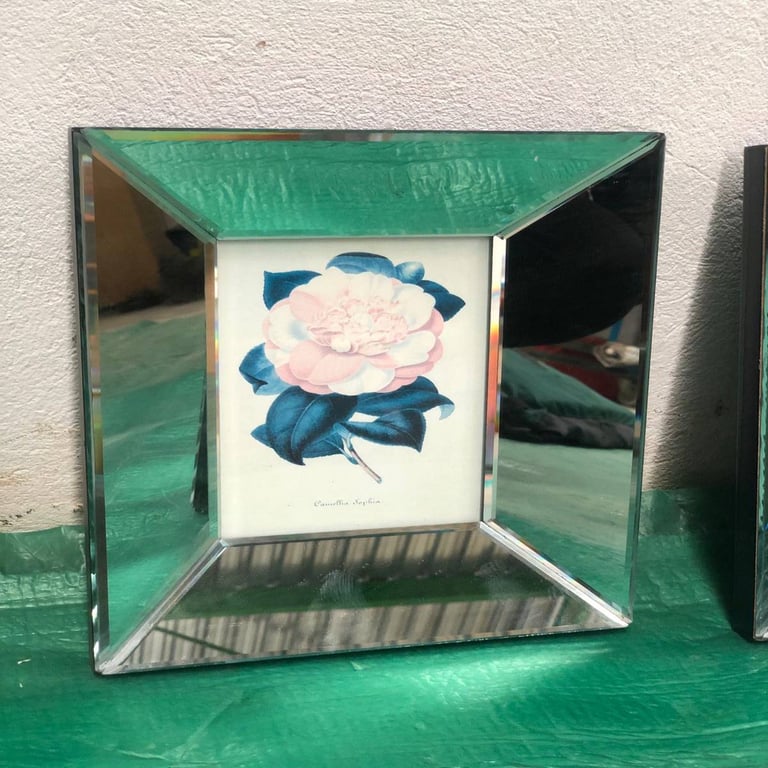 Mirrored Frame Prints (3)