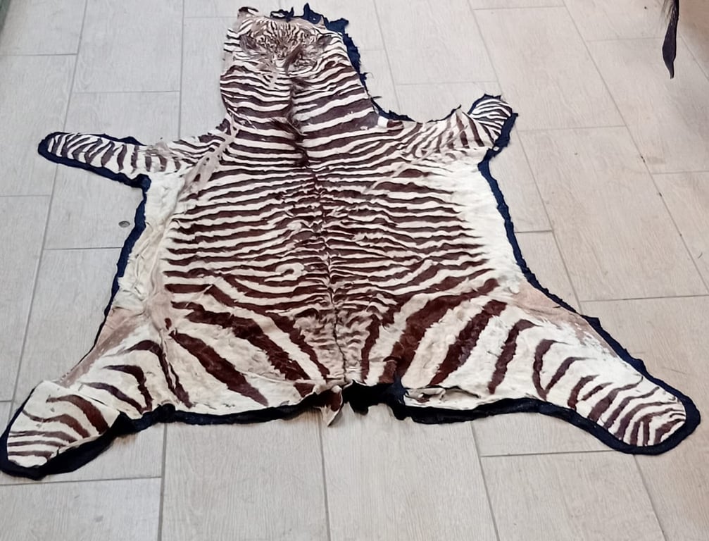 Zebra Hide