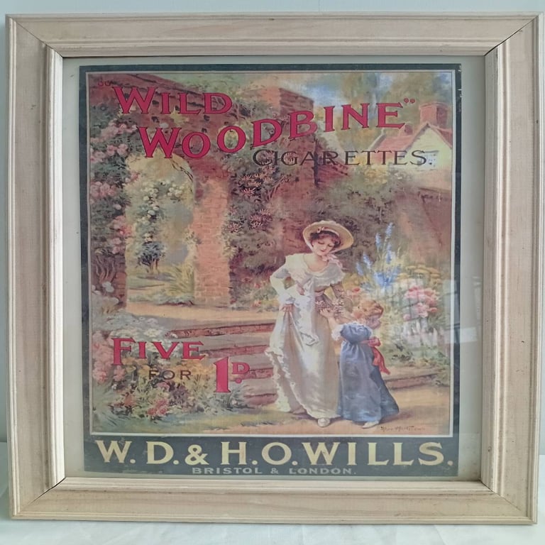 Framed “Wild Woodbine Cigarettes" Advertisement