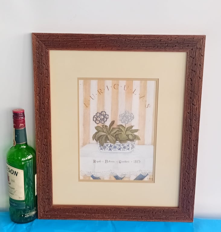 Framed Decorative Botanical Art Print – “Auriculas” Vintage Garden Style