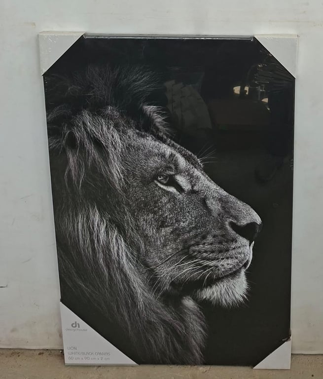 Lion Portrait Canvas Prints